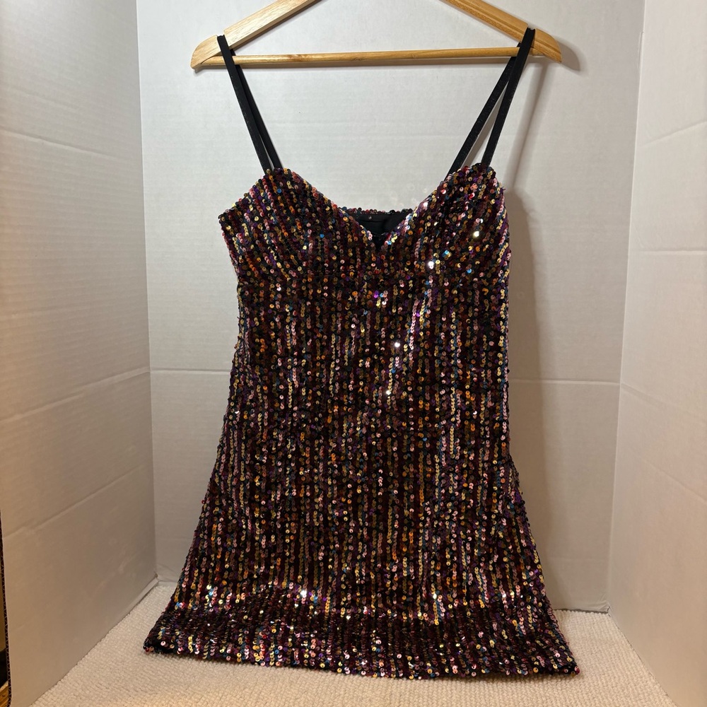 Zara Multicolor Sequin Dress